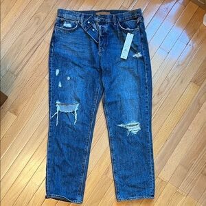 Joe's Jeans Relaxed Fit Distressed Denim